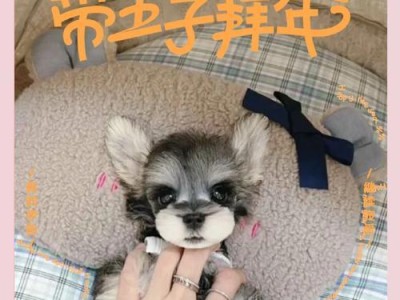 狗狗的成长奥秘（狗狗的成长阶段及关键发展特征）
