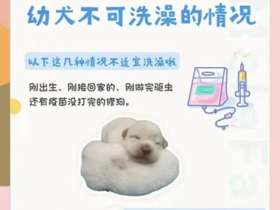 狗狗回家后多久可以洗澡？（了解狗狗洗澡的最佳时机和注意事项）