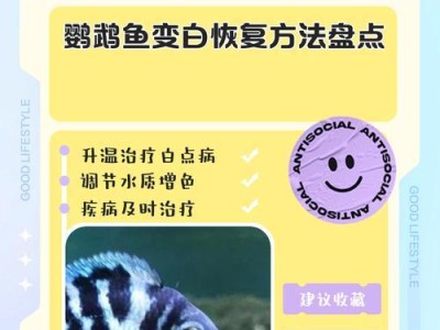 鹦鹉鱼养殖技术视频——掌握专业玩家饲养方法（通过视频学习，提高鹦鹉鱼养殖技巧的关键）