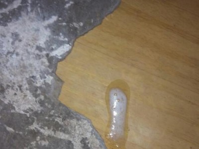 狗狗天天吐的原因和治疗方法（了解狗狗频繁呕吐的相关信息）
