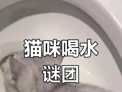 猫咪的合适饮水量及饮水不足的危害（保障猫咪健康，饮水量关键不可忽视）