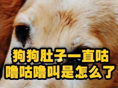 狗的叫声揭示的预兆（通过狗的叫声，了解不同情况下的预兆）