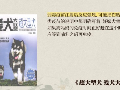 狗狗疫苗免疫时间多久？（打完疫苗后的关键期，关注宠物健康。）