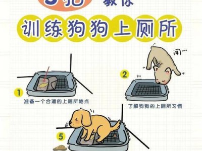 狗狗遛多久会拉屎的规律与解析（揭秘狗狗排便时间间隔及影响因素）