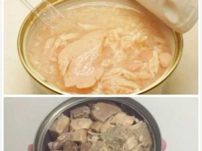 猫咪食量大揭秘！（猫咪食量计算方法及注意事项）