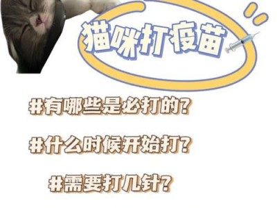猫疫苗反应时间有多久？（揭秘猫咪接种疫苗后的反应期长短及注意事项）