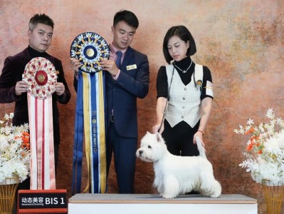 宠物美容赛级装（打造独一无二的宠物造型，展现最美时刻）