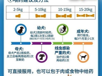 边牧成犬驱虫频率（了解正确的边牧成犬驱虫频率，保护它们的健康）
