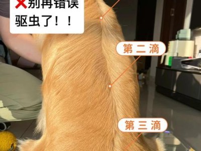 8个月狗狗如何选择驱虫药？（了解适合8个月狗狗的驱虫药品，保护它的健康成长。）