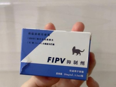 小猫生下来后多久打针是最合适的？（了解小猫打针的最佳时机和建议）