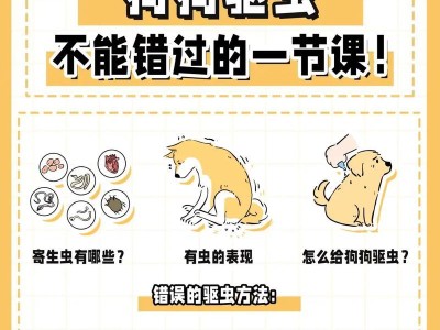 小狗驱虫期间的注意事项（宠物健康的关键，驱虫不能忽视）