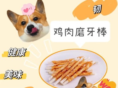 如何为你的爱犬进行婚检？（宠物健康保障，从婚检开始）