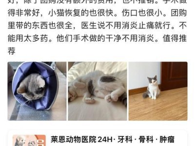 母猫产后多久可以进行节育手术（优秀母猫的繁殖与节育，关键是时机把握好）