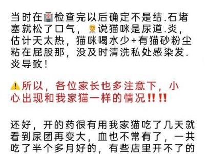 猫尿血的原因及潜在疾病解析（探究导致猫尿血的可能原因和相关疾病，提供预防和治疗建议）