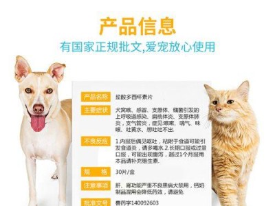 贵宾犬感冒应对指南（如何帮助你的宠物度过感冒期）