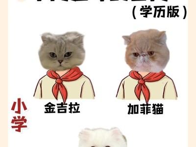 猫咪的八个特点（探索猫咪的神秘世界，透过八个特点了解它们）
