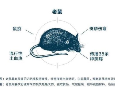 以林地田鼠为宠物的饲养方法（打造健康、愉悦的宠物生活）