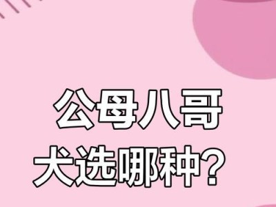 如何成为一名优秀的巴哥犬主人？（掌握关键技巧，让你的巴哥犬健康快乐生活）