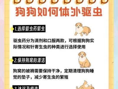 狗狗驱虫的注意事项及费用一次多少钱（正确驱虫，让爱宠健康快乐）