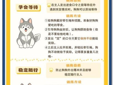 幼犬6大饲养准则（养狗人必知的攻略，打造完美犬舍）