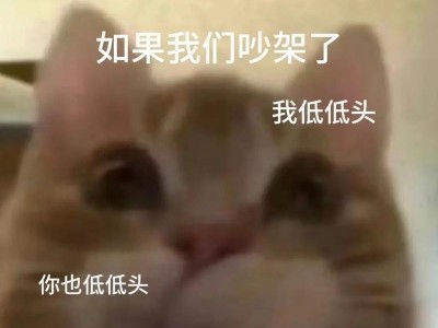 猫咪常吵架，该如何解决？（探究猫咪吵架的原因及有效的解决方案）