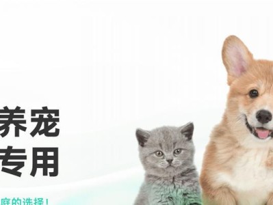 大众宠物中最火的是什么？（揭秘大众宠物市场的热门之选）