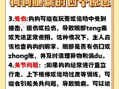 狗狗为什么会瘸？（探究狗狗后退时出现瘸的原因）