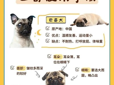 以巴吉度犬价格的地域差异（不同地区的以巴吉度犬价格差距大）