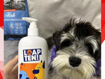小狗出生后多久能洗澡（给幼犬洗澡的注意事项及时间安排）