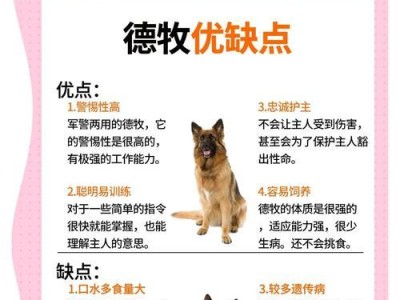 边境牧羊犬的洗澡频率与注意事项（以边境牧羊犬多久洗一次澡为主题的洗澡指南）