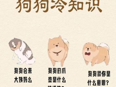 禁止在城市养的七种犬类（城市养狗条例限制了以下七种犬类的饲养）
