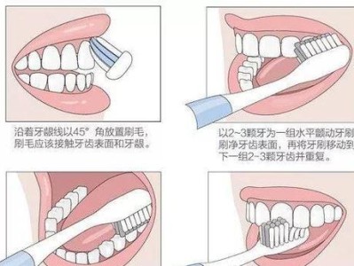 安川兔的饲养方法（了解如何正确饲养您的宠物安川兔）