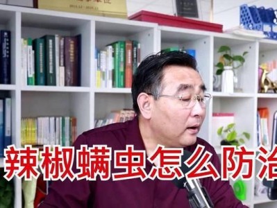 狗狗螨虫防治全攻略（为你的爱犬打造健康环境）