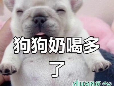 小狗狗的喂养时间表（揭秘小狗狗成长过程中的喂养秘密，了解合理喂养时间表！）