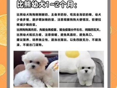 比熊幼犬水锈退掉的时间和方法（了解幼犬水锈和如何有效处理）