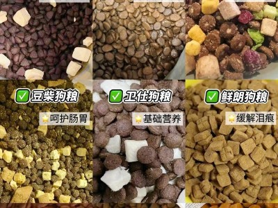 如何选择适合爱犬的狗粮？（了解狗粮背后的成分，守护宠物健康）