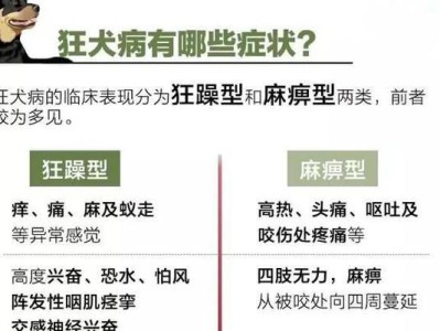 揭秘家猫的潜伏期（探索家猫潜伏期的时间长短及其对养猫人的影响）
