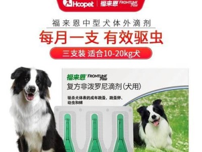 泰迪狗驱虫反应全解析（泰迪狗驱虫的反应和如何应对）