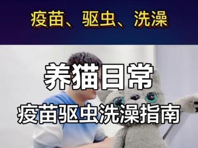 猫咪驱虫后多久可以洗澡？（探讨洗澡对猫咪健康的影响及适宜的时间）