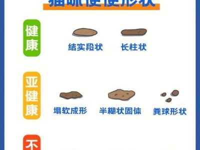 如何识别猫咪健康异常便便（掌握识别猫咪便便异常的重要指标与应对方法）