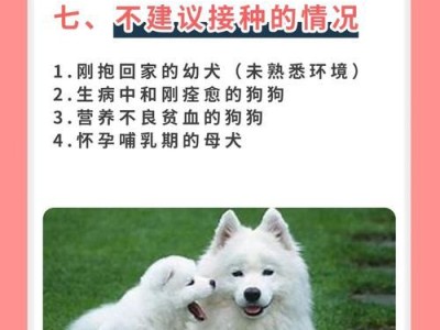 探究犬细小病毒，保护狗狗的健康（了解犬细小病毒的危害，预防措施不能忽视）