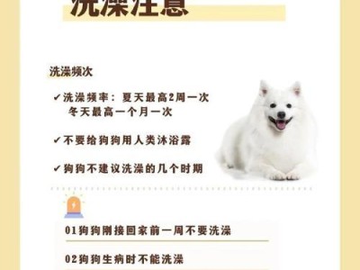 狗狗流产后需要等多久才能洗澡？（了解狗狗流产后洗澡的最佳时机和注意事项）