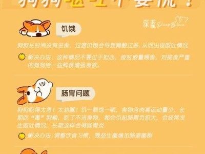 狗狗呕吐后应该怎么处理？（药物治疗狗狗呕吐的最佳选择及注意事项）