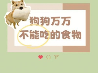 狗狗的最爱（满足狗狗的味蕾，健康无忧享美食）