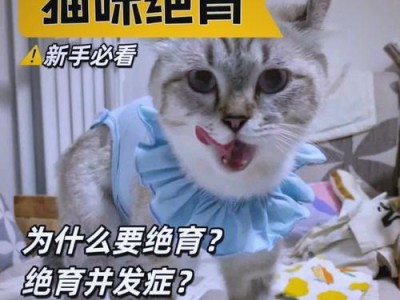 猫咪绝育的最佳时间及其重要性（掌握合适时间，关爱伙伴健康）
