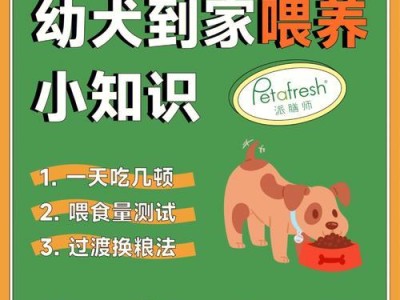 狗狗犬粮换食时间及幼犬喂食频率探讨（科学喂养宝贝，健康成长无忧）