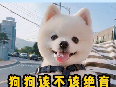 为什么狗狗要绝育？（了解狗狗绝育的好处和康复过程）