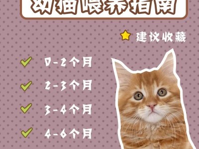 重点色短毛猫的饲养方法（营养需求、训练技巧、健康保健等全方位指南）