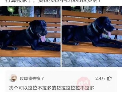 深入剖析拉布拉多吃便便的5大原因（解密拉布拉多犬为何会吃便便，保护宠物健康）