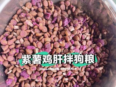 如何科学喂养狗狗？（建议喂食量和餐次安排的关键）